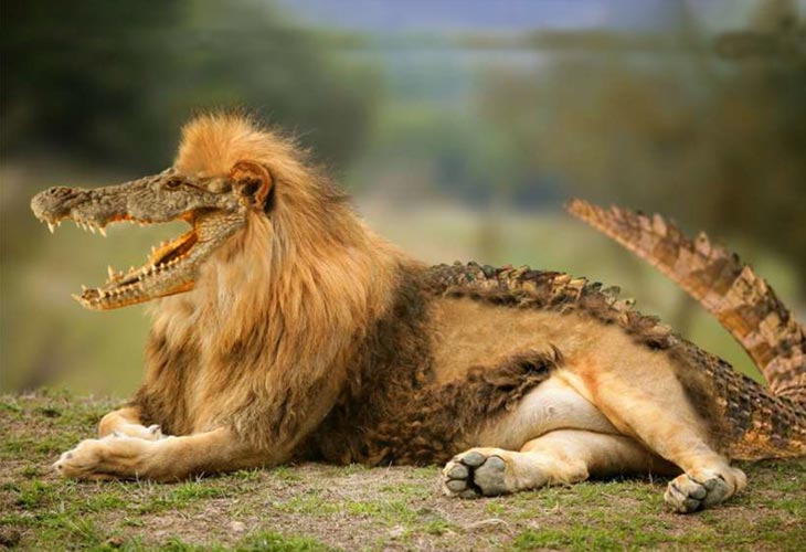 Leodrilo